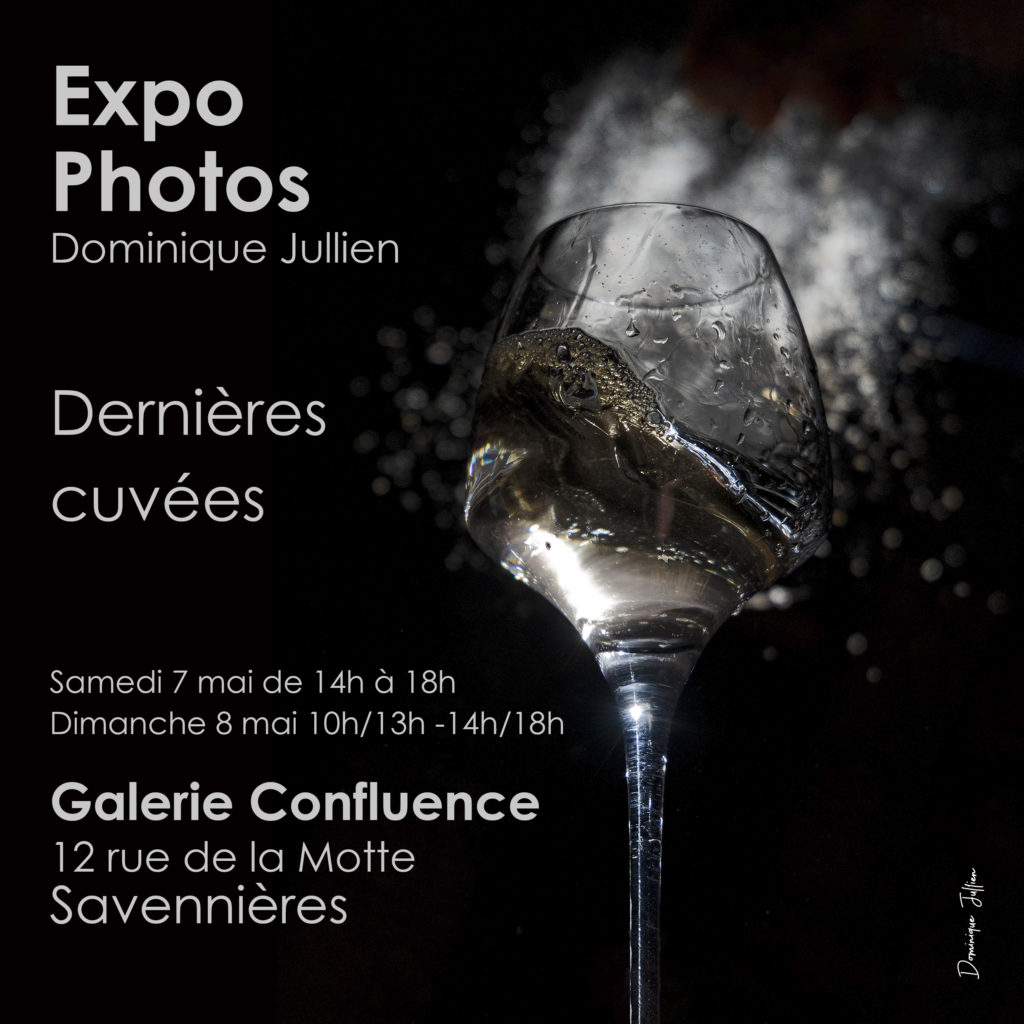 Expo photos Dominique Jullien Galerie Confluence Savennières