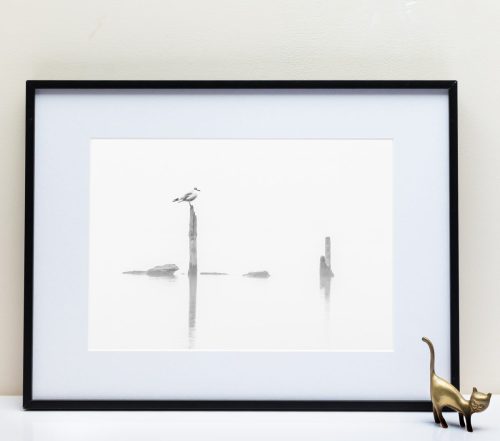 Le Fleuve Royal N°14