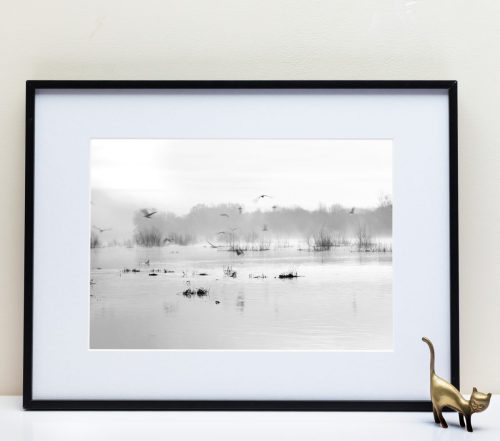 Le Fleuve Royal N°16