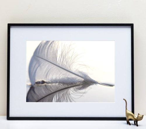 Le Fleuve Royal N°200