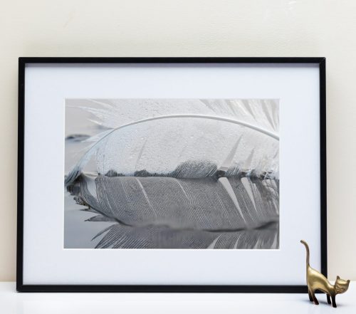 Le Fleuve Royal N°201