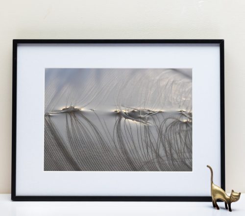 Le Fleuve Royal N°204