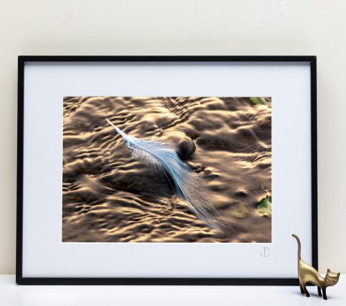 Le Fleuve Royal N°207