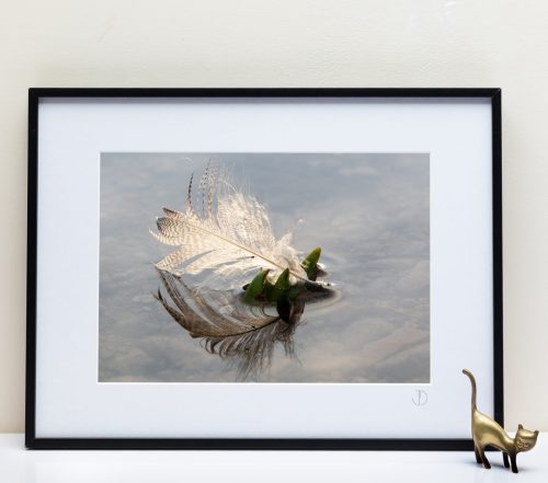 Le Fleuve Royal N°209