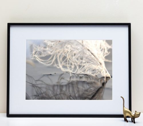 Le Fleuve Royal N°210