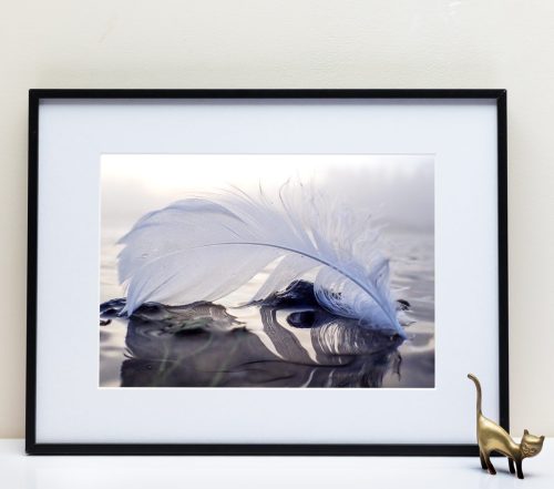 Le Fleuve Royal N°211