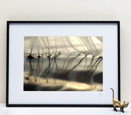 Le Fleuve Royal N° 212