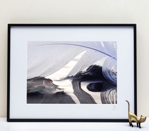 Le Fleuve Royal N° 213