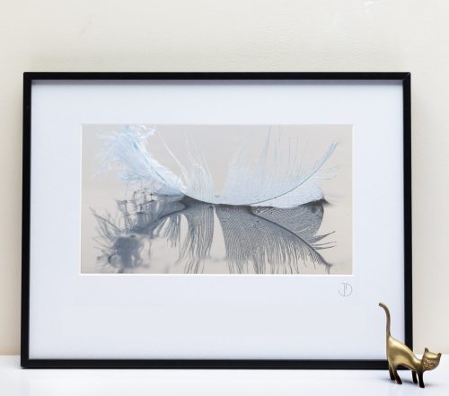 Le Fleuve Royal N° 214