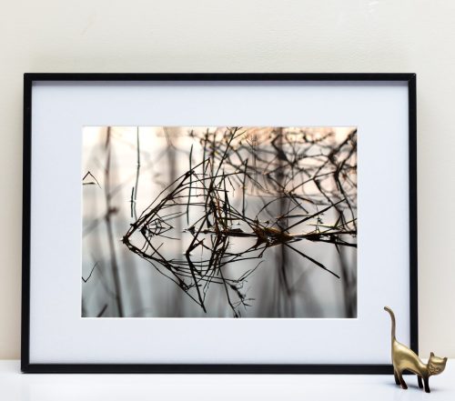 Le Fleuve Royal N°301