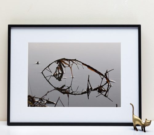 Le Fleuve Royal N°302