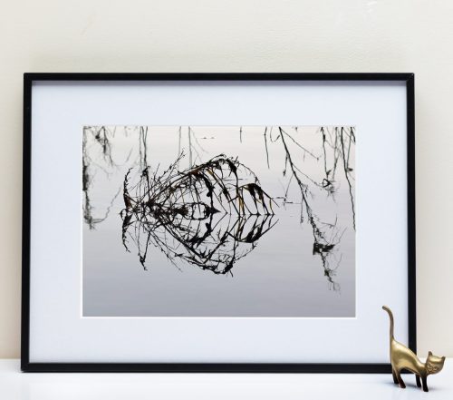 Le Fleuve Royal N°303