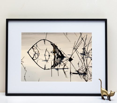 Le Fleuve Royal N°304