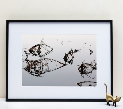 Le Fleuve Royal N°305