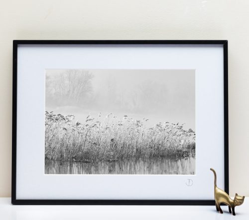 Le Fleuve Royal N°34