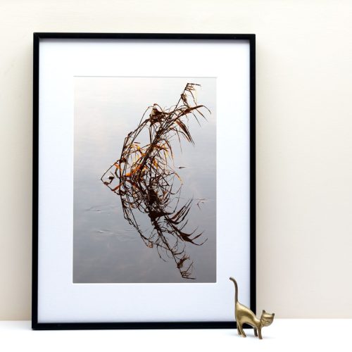 Le Fleuve Royal N° 39