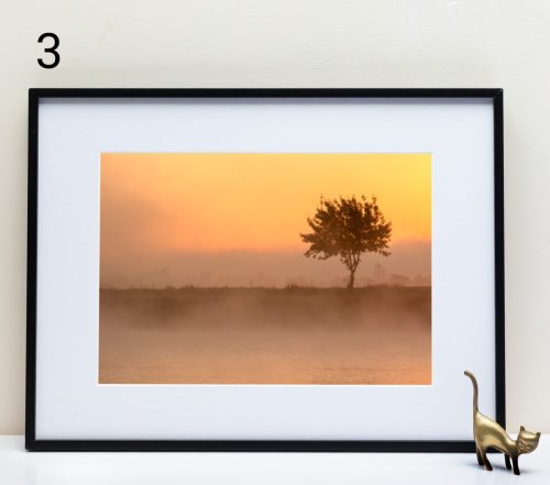 Le Fleuve Royal N°3