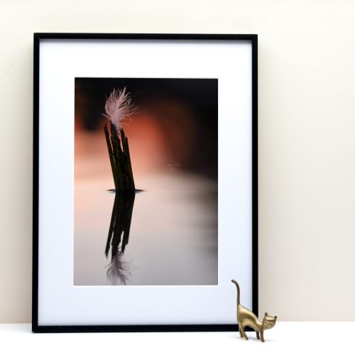 Le Fleuve Royal N° 42