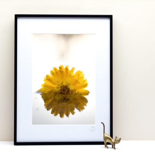 Le Fleuve Royal N° 44