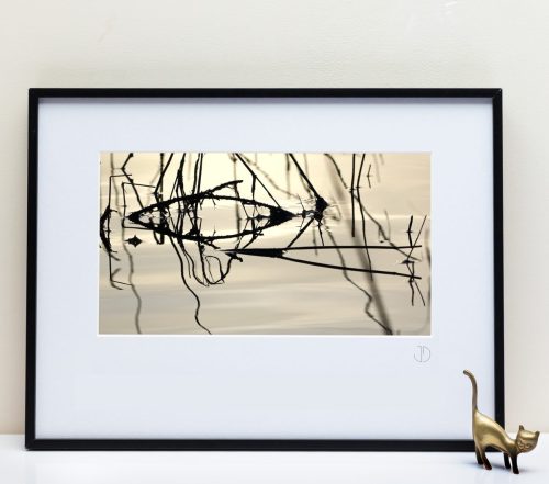 Le Fleuve Royal N° 47