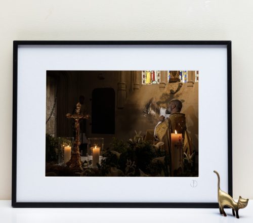 Expo Béhuard N°561