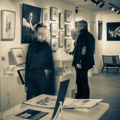 Galerie Arts & Co