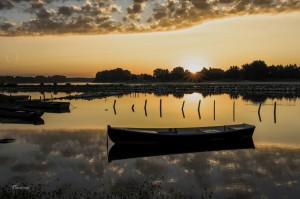 Loire Dame LumièreBouchemaine. Anjou