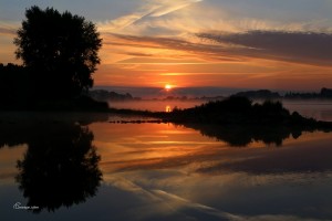 Loire Dame LumièreSainte Gemmes sur Loire Anjou