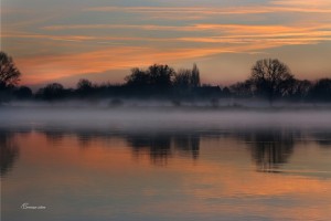 Loire Dame Lumière.Sainte Gemmes sur Loire. Anjou