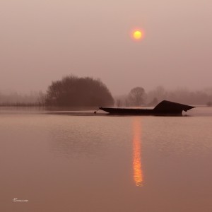 Loire Dame Lumière.Bouchemaine. Anjou