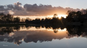 Loire Dame Lumière.Sainte Gemmes sur Loire. Anjou