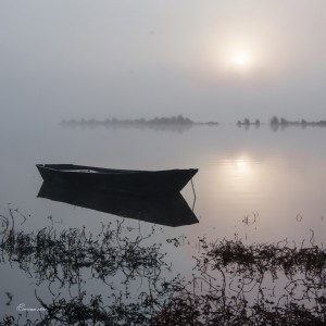 Loire Dame Lumière.Bouchemaine. Anjou