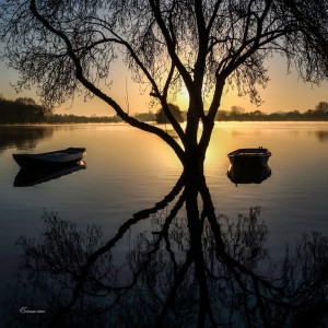 Loire Dame LumièreBouchemaine. Anjou